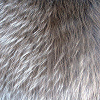 Мех искусственный длинноворсовый (Беларусь)