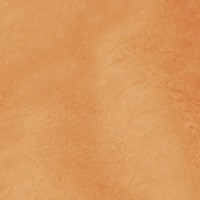 Мех искусственный, PLUSH коротковорсовый 5мм,  плотностью 280г/м2, (Китай)