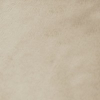 Мех искусственный, PLUSH коротковорсовый 5мм,  плотностью 280г/м2, (Китай)
