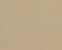 Ткань Оксфорд PVC 420 D 260+/-20гр.м2 (0.25 мм) рул 50м гладь (Черный) (Бежевый 1113)