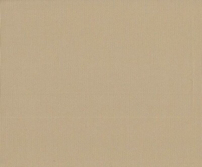 Ткань Оксфорд PVC 420 D 260+/-20гр.м2 (0.25 мм)  рул 50м гладь (Ткань Оксфорд PVC 420 D 260+/-20гр.м2 (0.25 мм)  рул 50м гладь (Бежевый 1113)) Ткань Оксфорд PVC 420 D 260+/-20гр.м2 (0.25 мм)  рул 50м гладь (Ткань Оксфорд PVC 420 D 260+/-20гр.м2 (0.25 мм)  рул 50м гладь (Бежевый 1113))