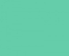 Ткань Оксфорд PVC 420 D 260+/-20гр.м2 (0.25 мм) рул 50м гладь (Черный) (Бирюза)