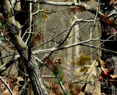 Ткань смесовая Грета WR 80/20 200+/-10гр.м2 рул 70м лес (НО-12 тростник)