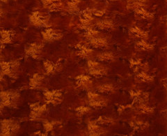 Мех искуственный, коротковорсовый, с "ворсоукладкой" (Беларусь)  (И-81-1-У9-Д19)