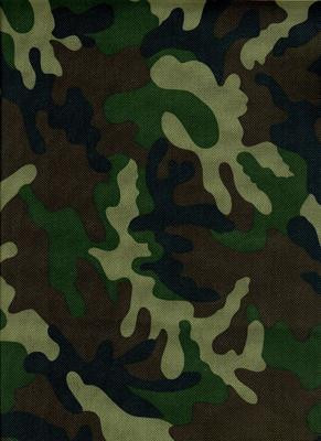 Ткань Оксфорд PVC 600 D 350+/-20гр/м2 рул 50м кмф (КМФ НАТО S-4)