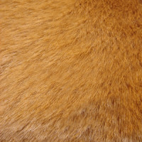 Мех искуственный средневорсовый (Беларусь) (ЭИС-704 Д27)