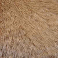 Мех искуственный средневорсовый (Беларусь) (ЭИС-704 Д27)