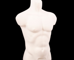 Манекен Торс мужской Карон (уп.5шт.)